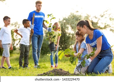 Kids Planting Trees Volunteers Park Stock Photo 1433229470 