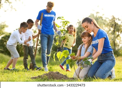 Kids Planting Trees Volunteers Park Stock Photo (Edit Now) 1433229473