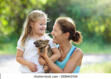 Kids Play With Farm Animals. Child Feeding Domestic Animal. Young Mother And Little Girl Holding Wild Boar Baby At Petting Zoo. Kid Playing With Newborn Pig. Children And Pets. Family At Farm Vacation