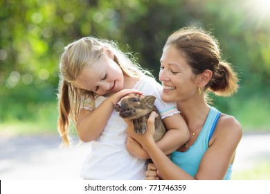 Kids Play With Farm Animals. Child Feeding Domestic Animal. Young Mother And Little Girl Holding Wild Boar Baby At Petting Zoo. Kid Playing With Newborn Pig. Children And Pets Family At Farm Vacation.