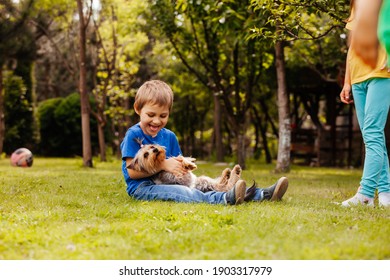 Kids Play Yorkshire Terrier Backyard Stock Photo 1903317979 | Shutterstock