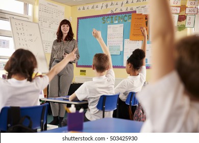 Kids Raising Hands In A Primary School Class, Low Angle View