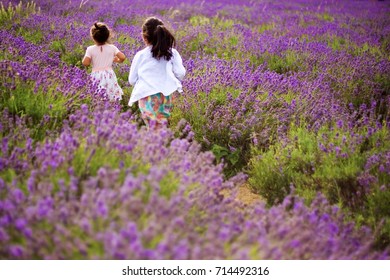 Kids Running In Lavendar Fields