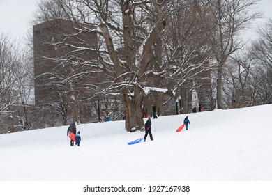 Kids Sledding At The Boston Common Park After A Snowstorm.