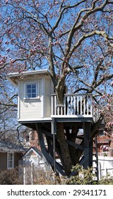 Kids Tree House