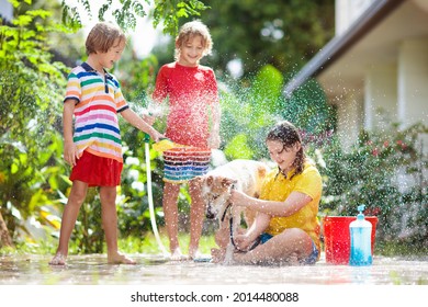 Kids wash dog in summer garden. Water hose and sprinkler fun for kid. Children washing puppy on outdoor patio in blooming backyard. Kids play. Child with pet. Family bathing dog. Animal care.