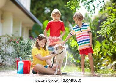 Kids Wash Dog In Summer Garden. Water Hose And Sprinkler Fun For Kid. Children Washing Puppy On Outdoor Patio In Blooming Backyard. Kids Play. Child With Pet. Family Bathing Dog. Animal Care.