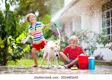 Kids wash dog in summer garden. Water hose and sprinkler fun for kid. Children washing puppy on outdoor patio in blooming backyard. Kids play. Child with pet. Family bathing dog. Animal care.