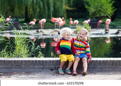 Kids Watch Animals And Birds At The Zoo. Children Watching Wild Life At Safari Park. Family Day Feeding Animal At City Zoo Or Farm. Boy And Girl Exploring Nature And Wildlife. Summer Day Trip.