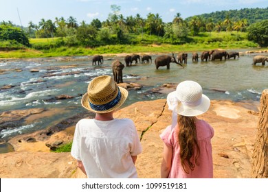 Kids Watching Sri Lankan Elephants At Riverbed Drinking Water