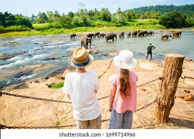 Kids Watching Sri Lankan Elephants At Riverbed Drinking Water