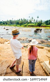 Kids Watching Sri Lankan Elephants At Riverbed Drinking Water