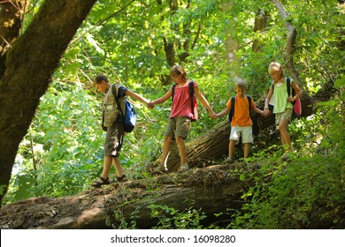 Kids in wilderness walking across log