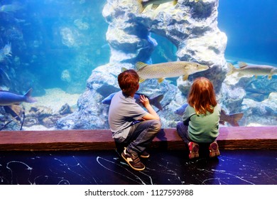 2,308 Watching fish tanks Images, Stock Photos & Vectors | Shutterstock