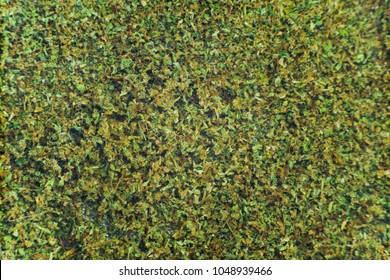 Kief Background Weed Macro Top View