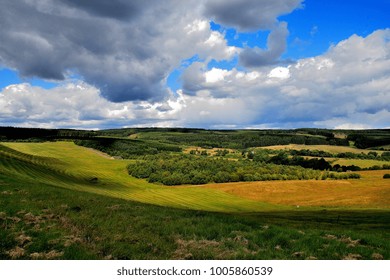 Kielder Forest Northumberland England.