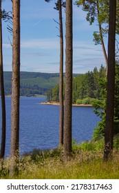 Kielder Water And Forest Beautiful Landscape 