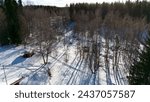 Kiiminki forest under snow Finland