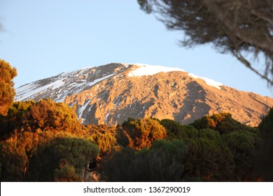 Kilimanjaro Base Camp