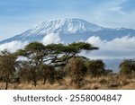 Kilimanjaro mount with snow photo from Amboseli National Park in Kenia