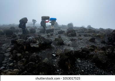 Kilimanjaro Trek To The Summit