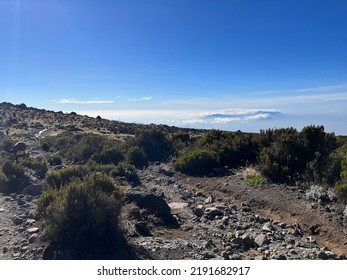 Kilimanjaro View Of Mount Kibo And Uhuru