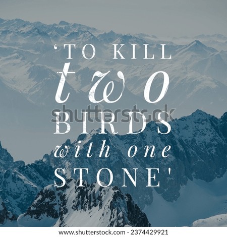 ‘To kill two birds with one stone'. A idiom, Poster.