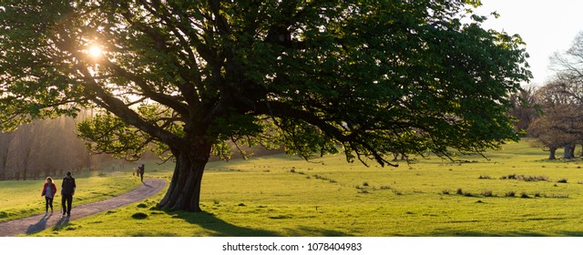 Killarney, Ireland - 19th April, 2018: People Strolling Through Killarney National Park At Sunset During Spring 