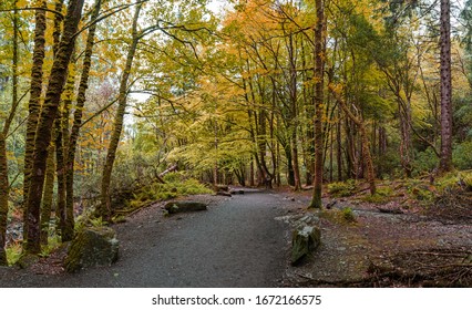 Killarney National Park In Ireland.