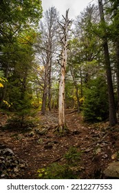 Killarney Provincial Park In Canada