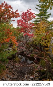 Killarney Provincial Park In Canada