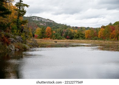 Killarney Provincial Park In Canada