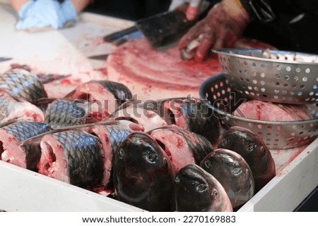 killed black carp fish. Hand kill fish on cutting board with knife. Fish killing and processing