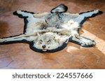 Killed wolf pelt on floor of luxurious villa.