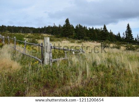 Killick Coast along Father Troy`s Path, Autumn pasture landscape, East coast trail near Torbay; Avalon Peninsula Newfoundland Canada 