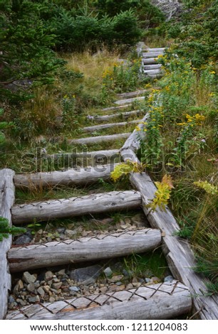Killick Coast; East Coast Father Troy’s Path; East Coast trail near Torbay, Avalon Peninsula, NL Canada