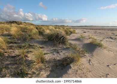 Killinallan Bay In Isle Of Islay