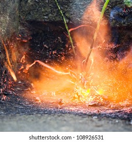 Killing Weeds With Gas Powered Flame Of Weed Burner