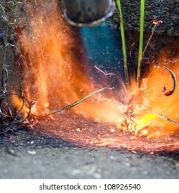 Killing Weeds With Gas Powered Flame Of Weed Burner