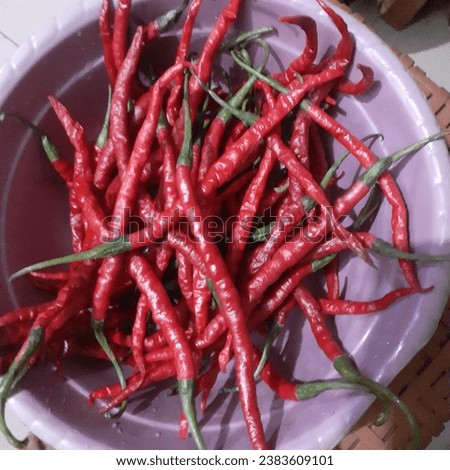 a kilogram  of fresh chilli