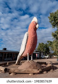 Kimba, South Australia, Australia - May 13 2021:  The Big Galah in Kimba marks the half way across Australia point. It is 8 metres tall.  Built in 1993.