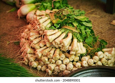 Kimchi Ingredients, Fresh Organic Radish 