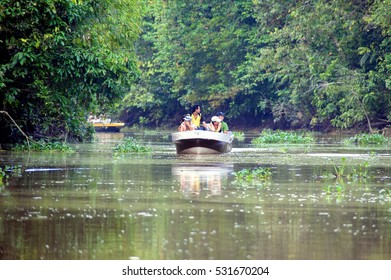 Kinabatangan, Malaysia - 07 DEC 2016: Tourists On A Boat Cruise Along The River Of Kinabatangan. River Cruise At Borneo Give Interesting Memory Watching Wildlife Especially For The Tourist.

