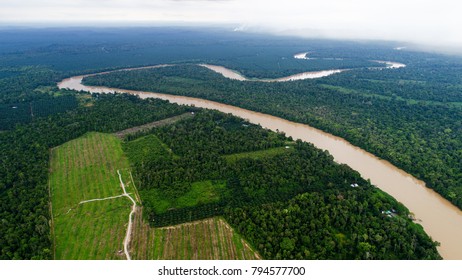 Kinabatangan River, Sabaha