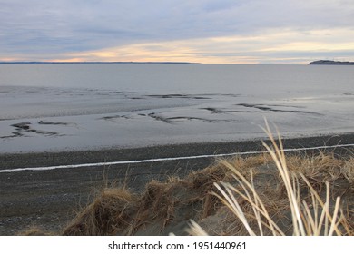 In The Kincaid Park In Anchorage, Alaska