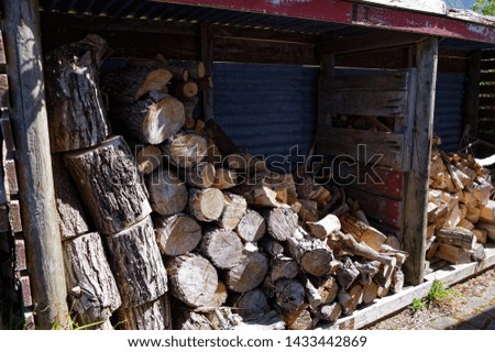 Kindling and firewood in the shed for winter