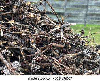 kindling and pinecones in rustic setting