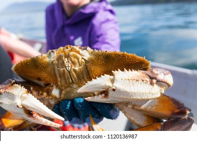 King Crab Fishing