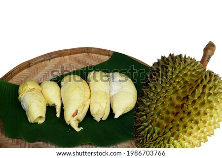 The king of fruits called durian. The famous export fruit of Thailand.