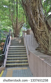 King George V Memorial Park, Hong Kong